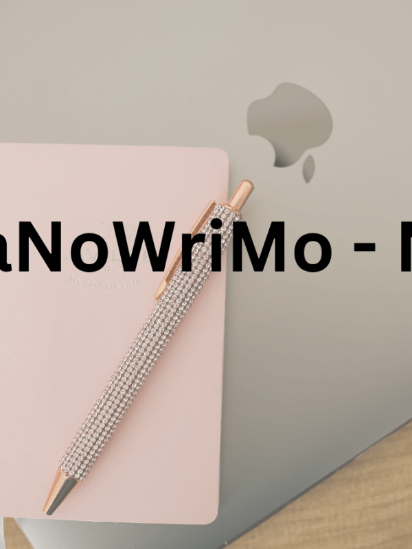 NaNoWriMo – No