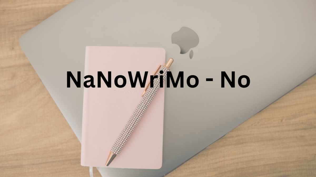 NaNoWriMo – No